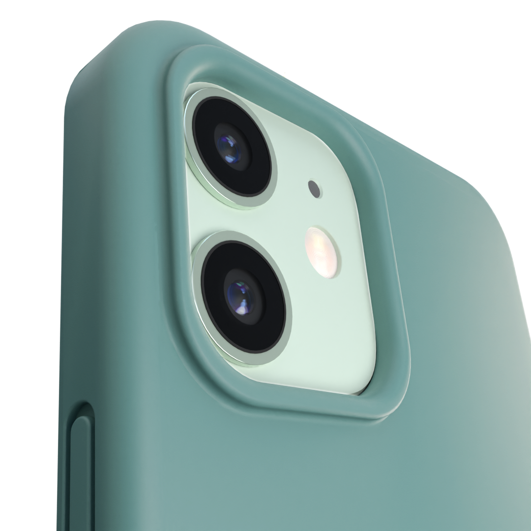 fern-iphone-12